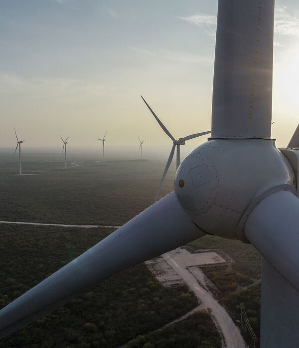 Aerial inspection in wind farm